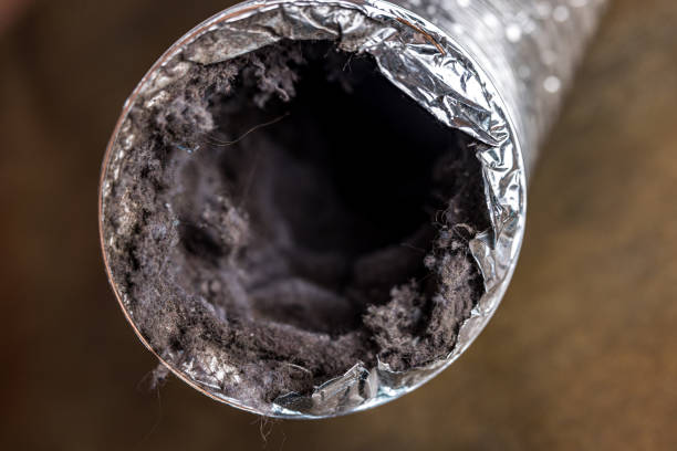Best Affordable Air Duct Cleaning  in Bethel Rk, PA