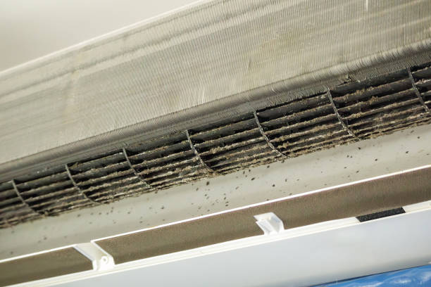 Best Air Duct Cleaning Company Near Me  in Bethel Rk, PA