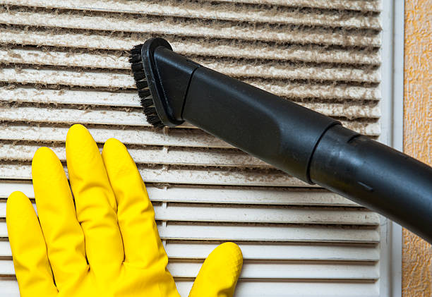 Best Dryer Vent Cleaning Services  in Bethel Rk, PA